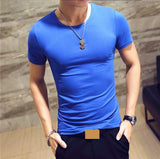 Fitness T-shirts Mens